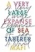 A Very Large Expanse of Sea by 