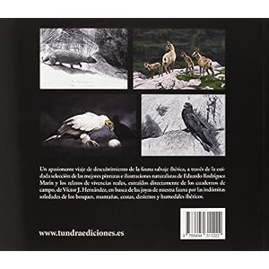 Tras las huellas de la fauna ibérica (2ª ed.) (Cuadernos De Naturaleza)