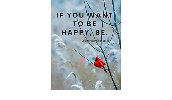 Amazon Fr If You Want To Be Happy Be 110 Lined Pages Motivational Notebook With Quote By Leo Tolstoy Goal Score Your Livres