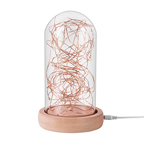 Lingkai Base en bois de hêtre et verre clair dôme lampe avec des guirlandes féeriques Star String LED USB Power Pot en verre avec interrupteur d'affichage Bureau Lampe de table