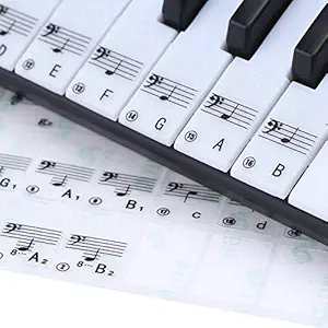 SG Musical Sticker Transparent Piano Keyboard Sticker 61 Key Electronic Keyboard