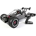 FS Racing 30CC 1:5 Petrol Radio Controlled Buggy - 2.4Ghz