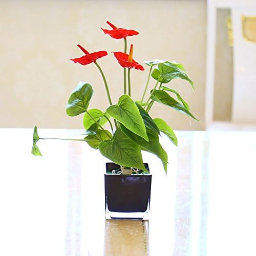 Artificial flowers Home Living Room Decor Dining Table Bonsai Silk Flower Kit Hoofs Of Red Lotus Flower Pot Black Glass SCFLOWER