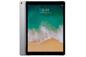Apple iPad Pro 12.9 (2.ª Generación) 512GB Wi-Fi - Gris Espacial (Reacondicionado)