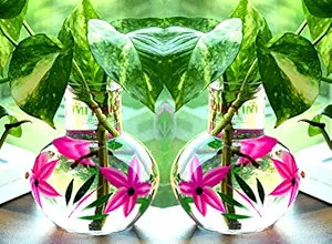 MITHILA HANDICRAFTS Glass Flower Designed Floral Printed Round Vase (Transparent 10x10x12 cm, Small) Set of 2