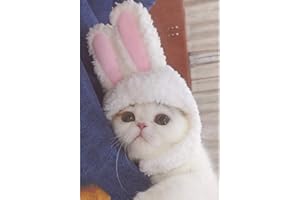 DELIFUR Katze Kaninchen Hut Kitty Bunny Kostüm Kleine Katze Ostern Kostüm Kleines Haustier Halloween Geburtstagsmütze