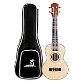 Mugig Ukulele Instrumento de concierto con 38cm 4 cuerdas de nivel de entrada(tapa de pícea y fondo y aros de caoba)