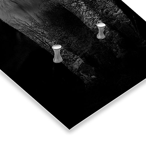 Feeby, Deco Panel Aufhänger, Kleiderhaken, Wandgarderobe, Garderobe, Wandecor Bilder mit hänger, 5 haken, WOLF, TIER, SCHWARZ-WEIß