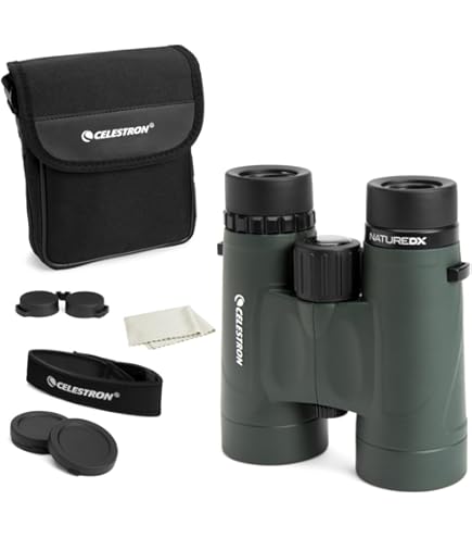 What Binoculars are Best for Rugby Stadiums? Top Picks Revealed!