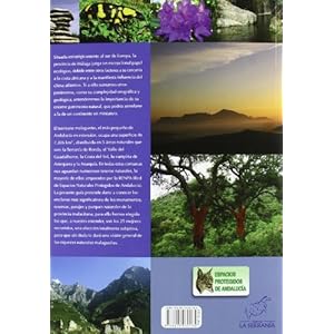 Las 25 mejores rutas por los espacios naturales protegidos de la provincia de Málaga