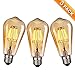 Produktbild Vintage Edison LED Glühbirne, Elfeland 3X E27 Antike LED Filament Lampe Ersetzt 60W (6W, 2200K, Dimmbar, Beliebtstes Modell ST64) Ideal für Nostalgie und Retro Beleuchtung