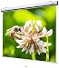 Produktbild celexon manuell ausziehbare Heimkino-und Business-Beamer-Leinwand 4K und Full-HD Rollo-Leinwand mit Slow-Return Expert - 240 x 180 cm - 4:3 - Gain 1,0