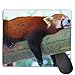 Produktbild Mouse Pad Lesser Panda Rest Sleep Love Rectangle Rubber Mousepad 8.66 X 7.09 Inch Gaming Mouse Pad with Black Lock Edge