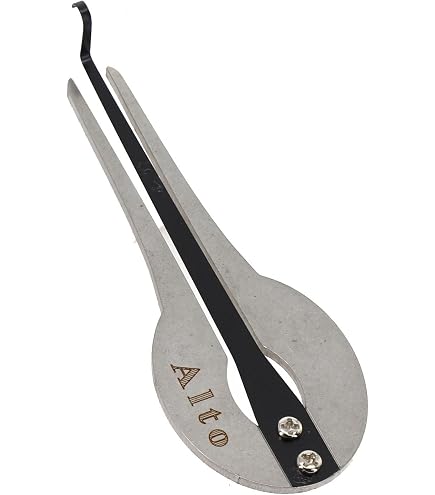 Terr Maultrommel Indonesien aus Bambus warm im Klang angenehm zu spielen  Mund Instrument Musik Klang Percussion Weltmusik : Amazon.de:  Musikinstrumente & DJ-Equipment