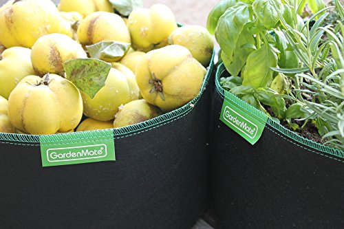 GardenMate® 3x 15L Pflanzsack aus Vliesstoff – 15L - 6