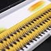 Professional Makeup 60pcs Clusters Eye Lashes Fake Individual False Eyelashes Extension (10mm)