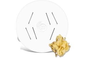 ‎MY PASTA MY PASTA – Mafaldine – Nudelmaschinen Matrize | Advance Pasta Scheibenmatrize für hausgemachte Nudeln kompatibel mit Philips Pastamaschine Serie 7000 | dünne feine Bandnudeln