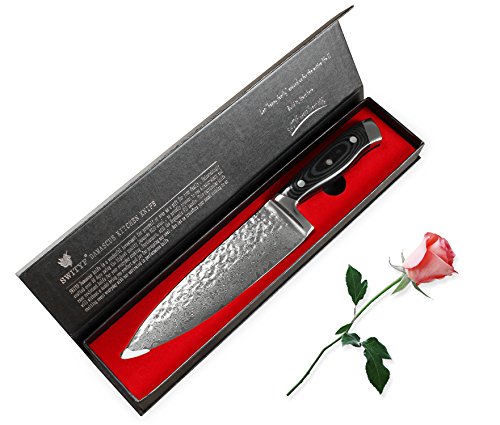 SWITYF VG-10 hochwertige japanische Stahl-Kochmesser das 205mm lang und mit hohen Kohlenstoffgehalt ist. Alveolen Damaskus Entwurf. DCK-HK - 8