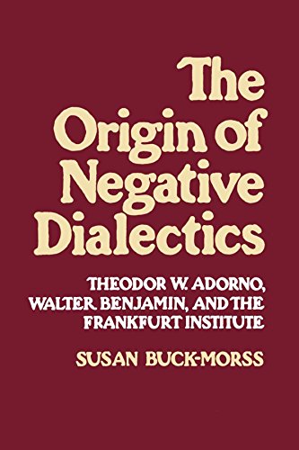 Book's Cover ofOrigin of Negative Dialectics