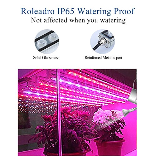 Roleadro ® 54w Led Grow Light Bar für Gewächshaus Pflanze IP65 Waterproof Blue and Red Light 550x30x30mm (1 ,54w) - 5