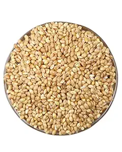 P's Reseller Premium Kangni Seed for Birds Food (900 Grams)