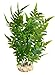 Produktbild Sydeco Aquariumpflanze Aqua Wild Plant, grün, Höhe 27 cm