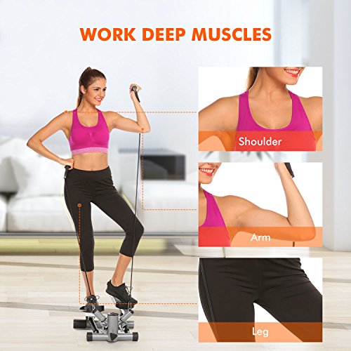 Teaio Stepper zu Hause Drehstepper & Sidestepper mit Trainingscomputer