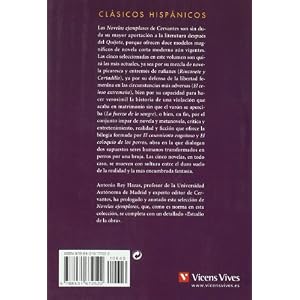 Novelas ejemplares, ESO. Material auxiliar (Clásicos Hispánicos)