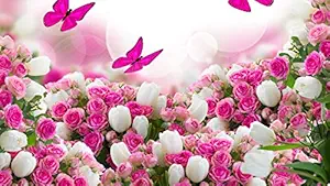 ISEE 360 Colourful Rose Flowers Wall Laminated Posters for Home Living Kids Study Bed Room Kitchen Office Decor Stylish Printed Wall Poster 300 GSM L X H 18 X 12 Inches