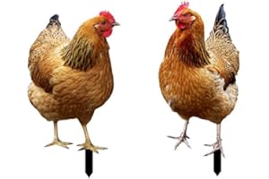 AIDNTBEO 2 pz gallina arte giardino gallina intagliata realistica segno acrilico gallo animale per la decorazione di casa, patio, cortile, cortile, A+B
