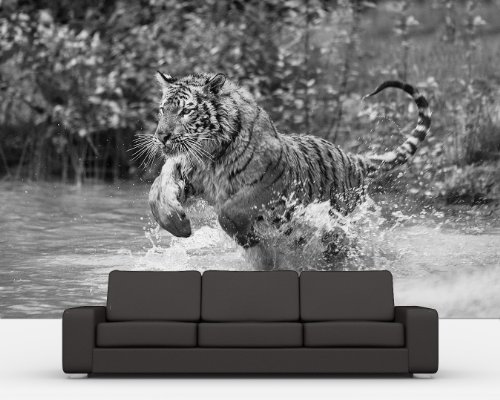 Bilderdepot24 Vlies Fototapete "Tiger im Sprung - schwarz weiss" 155x100 cm - direkt vom Hersteller, inklusive Kleister