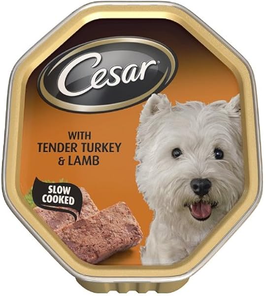 best place to order dog food