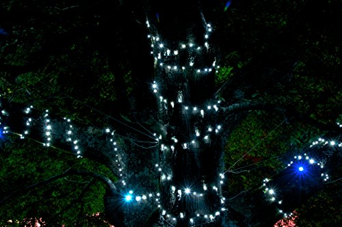 Lichterkette aus 200 solarbetriebenen Weißlicht LED Lichtern von SPV Lights: Der Solarlicht- & Beleuchtungsspezialist (2 Jahre kostenlose Gewährleistung inklusive) - 3