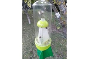 MILLSTORE Trappola ecologica cimici asiatiche +2 attrattivo feromoni Kit Diablex