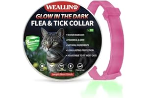 WEALLIN Lumineux Collier Anti-puces pour Chats, Collier Anti Puces et Tiques pour Chats Ajustable et Imperméable, Protection Naturelles et Efficace Pendant 8 Mois à Tous Les Chat, Rose Chaud (1 PC)