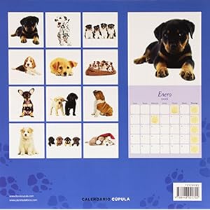 Calendario Perritos 2016 (Calendarios y agendas)