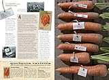 Image de De mémoire de potagers : Petites et grandes histoires des variétés de légumes
