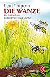 Die Wanze: Ein Insektenkrimi by Paul Shipton, Axel Scheffler