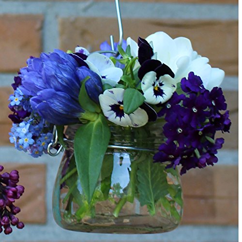 Windlicht klein, 6 Stück mit Henkel, Laterne Glaslaterne Garten-Deko Ø ca. 7,5 cm, H ca. 6,5 cm - 5