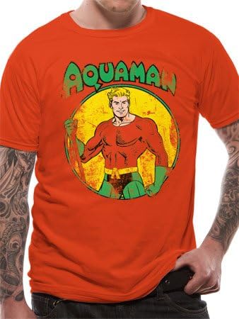 Aquaman Men's All The Heroes Distressed T-Shirt, Orange, Small