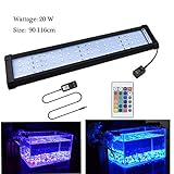 WasserPflanzen Licht : die sehr helle Farben der Fische kommen sehr schön zur Geltung und was auch sehr schön ist, die Pflanzen wachsen mit diesem Licht sehr gut und werden richtig schön buschig