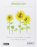 Image de Emy et les tournesols - pédagogie Montessori