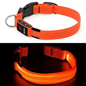 Clan_X LED Dog Collar, USB Rechargeable Glowing Pet Collar for Large Breeds, Adjustable Light Up Collars Keep Your Pets Visible & Safe (L, Orange)