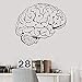 Produktbild Hkkhkk Brain Mind Anatomy Intellect Science Medicine Doctor Vinyl Wall Decal Home Decor Art Mural Wall Stickers Removable 70X58Cm