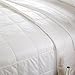 LilySilk Washable Cotton Covered Silk Duvet