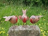 ROBIN redbreast - hinzufügen einen Hauch von Tradition in Ihr Garten Dekor mit diesen bezaubernden Robin Ornaments. Rotkehlchen sind ganzjährig Native nach Großbritannien sind aber die meisten Zusammenhang mit Weihnachten Zeit. Kann verwendet werden als Teil von Ihrem Interieur Weihnachtsschmuck.