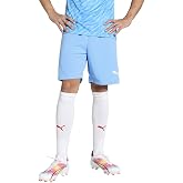 PUMA Men's Teamrise training shorts
