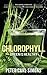 Produktbild Chlorophyll - Green is Healthy: The green lifeblood - a decisive health factor and energy provider