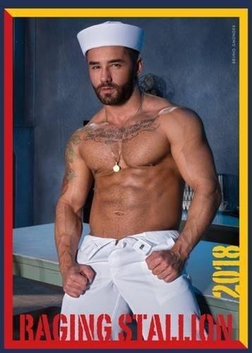 Preisvergleich Produktbild Raging Stallion 2018 (Calendars 2018)