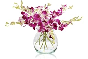 Sendabunch Fresh Singapore Dendrobium Orchids Bouquet - 10 Beautiful Stems for a Touch of Eastern Charm - 14-Day Freshness Guarantee - Perfect for Birthdays, Anniversaries & Special Occasions